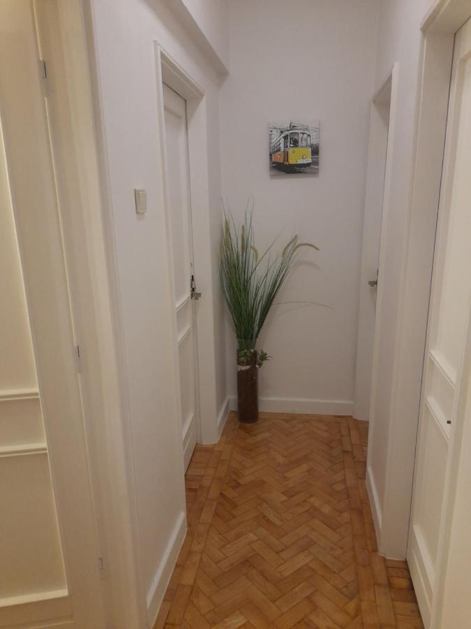 Cozy Central 3 Bedrooms Bragas Porto Eksteriør bilde